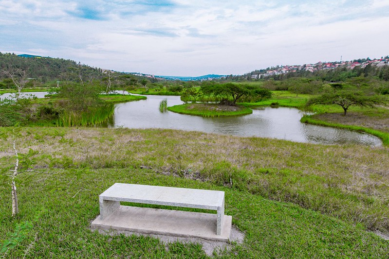Nyandungu Eco-Park