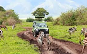 Akagera National Park safari day trip